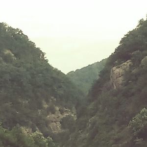 Meet your Posher, Mackenzie harris